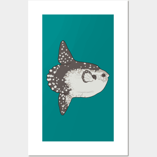 Ocean Sunfish (Mola Mola) Posters and Art